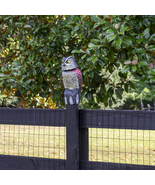 4K Streaming 4G Owl - $269.00