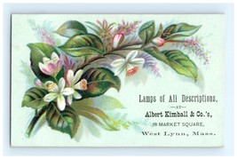 Lamps At Albert Kimball &amp; Co Victorian Trade Card West Lynn, Mass - £9.49 GBP