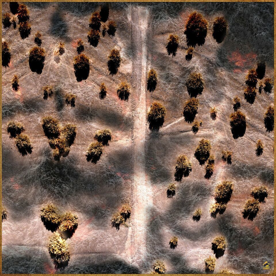 Road Through Desolation 36&quot;x36&quot; Battle Mat - D&amp;D Pathfinder Mini Map - 28mm - $29.65