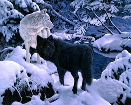 Giclee Oil Painting Decor Black Wolf &amp; White WolfWall HD - £6.85 GBP+