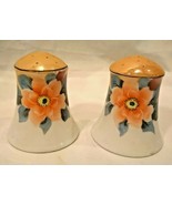 Vintage Noritake Hand Painted Salt and Pepper Set - $39.27