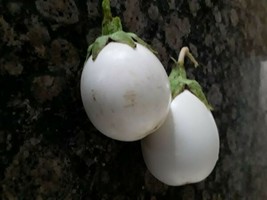 40 Seeds White Casper Eggplant  Great Flavor        - £4.32 GBP
