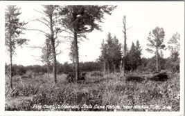 Hinckley Minnesota RPPC Pine County Wilderness State Game Refuge Postcard X3 - £13.30 GBP