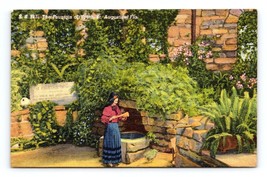 Fountain of Youth St Augustine  Fllorida FL Linen Postcard M2 - $3.91