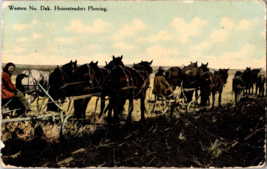 Homesteaders Plowing with Horses Western North Dakota Vintage Postcard (C13) - £5.10 GBP