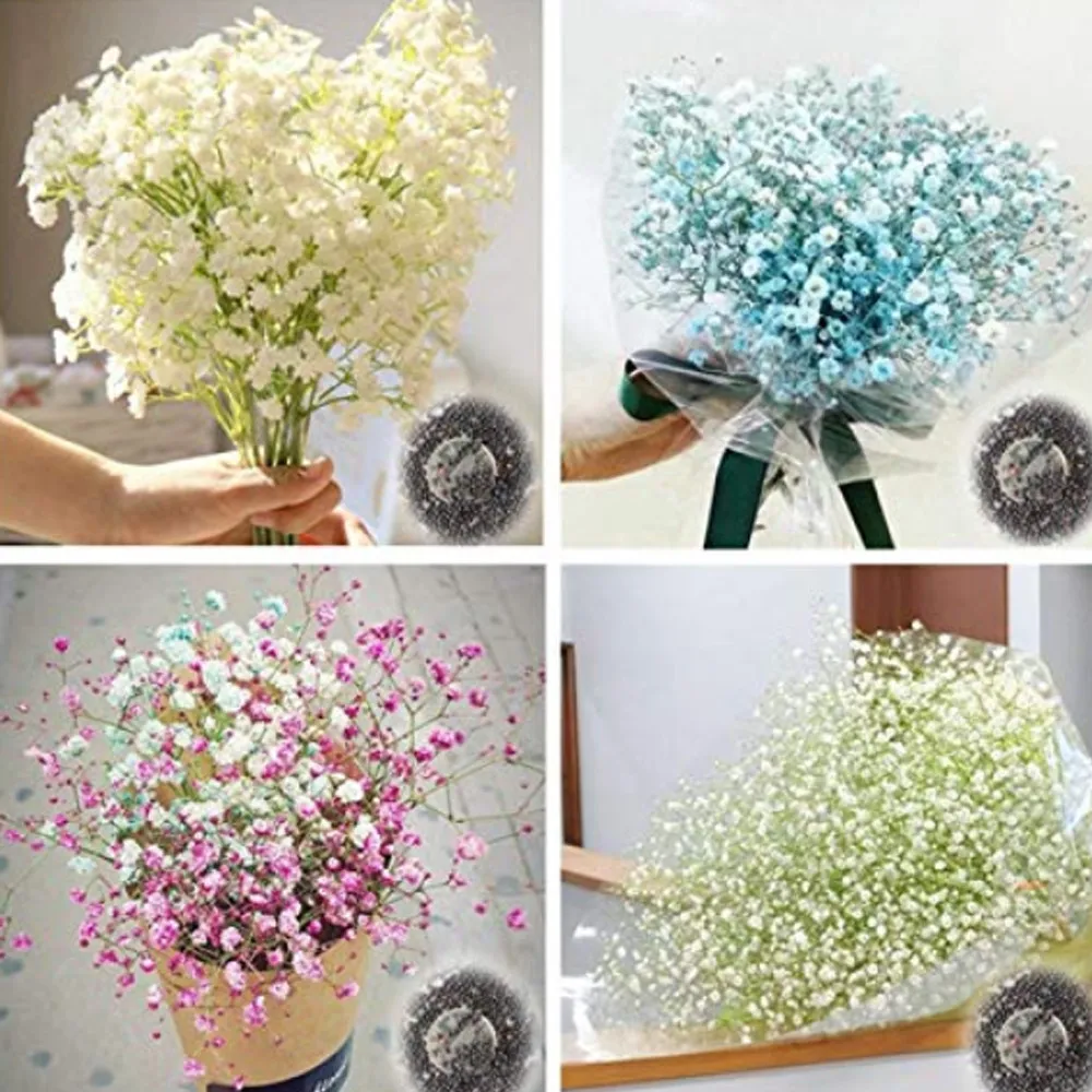 fresh 100PCS Gypsophila Paniculata Plant Outdoor & Indoor Perennial