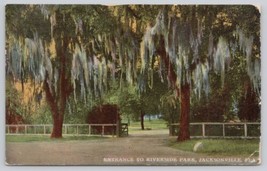 Postcard Entrance Riverside Park Jacksonville Florida c.1912 - £2.80 GBP