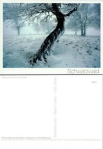Germany Baden-Württemberg Schwarzwald Schauinsland Snow Beech Trees VTG Postcard - £7.47 GBP