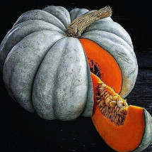15 Jarrahdale Blue Pumpkin Seeds Jarradale Queensland Cinderella Doll Ga... - $8.76