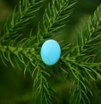 AAA + Natural Turquoise Gemstone, Oval Shape Turquoise, Jewelry Making G... - €9,49 EUR