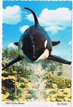 California Postcard San Diego High Flying Shamu Sea World - £2.31 GBP