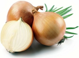 Candy Hybrid Sweet &amp; Mild Onion Incredibly Easy Growing Jumbo Garden 50 Seeds - $17.63