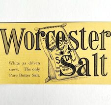 Worcester Salt Nash Whiton NY 1894 Advertisement Victorian Spices 3 ADBN1m - $19.99
