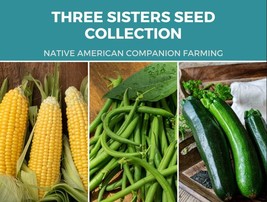 Three Sisters Seed Collection Native American Farming Corn, Bean, Squash Seeds - £29.08 GBP