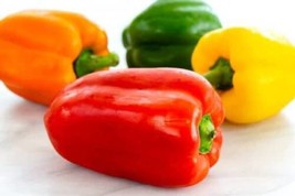 SEPTH 50 Rainbow Bell Pepper / Sweet Pepper Seeds - Harvested November 2022 - - £5.96 GBP