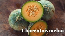 10 Organic Charentais Cantaloupe Seeds Juicy Sweet Delicious Fresh Seeds USA - $17.00