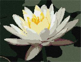 Pepita Needlepoint Canvas: Water Lily, 12&quot; x 9&quot; - £67.67 GBP