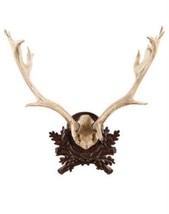 Plaque Rustic Antlers Fallow Deer Leafy Detail Carved Hand Cast Resin OK Casting - £493.48 GBP