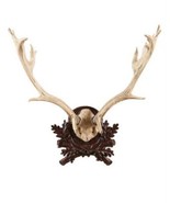 Plaque Rustic Antlers Fallow Deer Leafy Detail Carved Hand Cast Resin OK... - £494.61 GBP