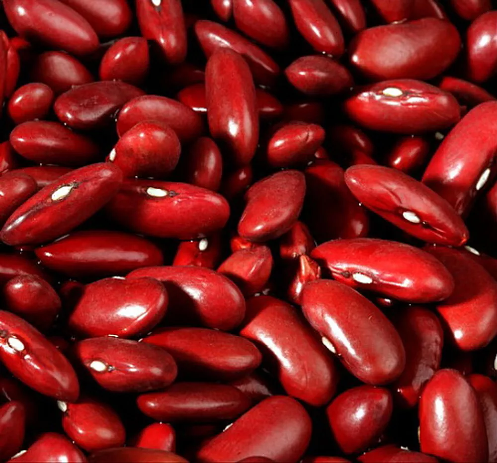 TISS 65 Dark Red Kidney Bush Bean Seeds, Baked Beans And Chili Garden Seeds - £10.35 GBP