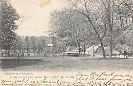 NEW YORK CITY~EAST LAWN-MOUNT MORRIS PARK~1905 ROTOGRAPH PHOTO  POSTCARD - £4.50 GBP