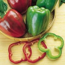 Organic Heirloom Calwonder Bell Pepper Seeds - $4.95