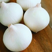 White Sweet Spanish Onion Seeds 200 Seeds  - £7.78 GBP