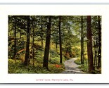 Lovers Lane Along Harvey&#39;s Lake Pennsylvania PA UNP DB Postcard T2 - $6.20