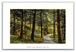 Lovers Lane Along Harvey&#39;s Lake Pennsylvania PA UNP DB Postcard T2 - £4.85 GBP