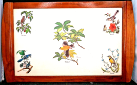 Guy Coheleach Songbird Tray Oak Construction 20&quot; By 12&quot;, Rare and OBO - $588.00 MXN