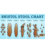x2 Vinyl Stickers 15x8.5cm laptop wall medical Bristol stool chart poop ... - £5.47 GBP