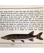 Northern Pike 1939 Fresh Water Fish Art Gordon Ertz Color Plate Print PC... - $547.38 MXN