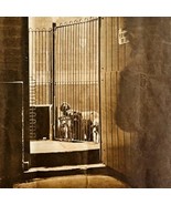 1951 Lost Stray Dogs At Battersea Power Station UK Sphere Magazine Print... - $551.07 MXN