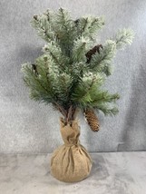 19&quot; Frosted Spruce Sapling Artificial Christmas Tree With Pine Cones In ... - £12.58 GBP