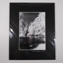 Black Mat Photo Landscape Park Infrared Photography Limited Ed 1/2 Signe... - $24.10
