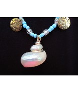 Shell necklace. - $16.00