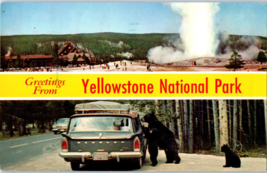 Greetings From Yellowstone National Park Montana Postcard Posted 1971 - £17.10 GBP