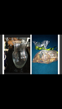 Decorative Glass Vase 9&quot; with bag Of Citrus Potpourri - £39.30 GBP