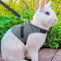 Rabbit Leash Rabbit Dress: &quot;Whimsical Bunny Chest Strap Dress&quot; - £9.46 GBP