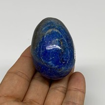 95.2g, 2&quot;x1.4&quot;, Natural Lapis Lazuli Egg Polished @Afghanistan, B33379 - £22.06 GBP