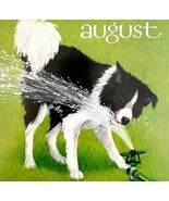 Border Collie Sprinkler August Dog Days Poster Calendar 14 x 11&quot; Art DWD... - $551.89 MXN