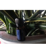 doTERRA Deep Blue 15 mL **Like 3 Bottles Of Deep Blue **NEW &amp; SEALED Exp... - £69.13 GBP