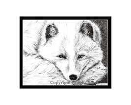 Arctic Fox Pen and Ink Print - $24.00