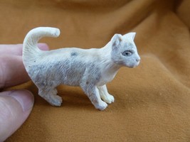 CAT-W18 little Cat kitten shed ANTLER figurine Bali detailed carving lov... - £62.49 GBP