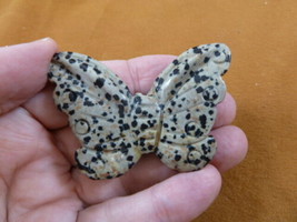 (Y-BUT-708) spotted Jasper BUTTERFLY figurine gemstone carving love butt... - $17.53