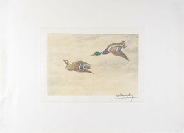 Leon DANCHIN Etching Two passing Ducks Canards de passage #6 - $129.62