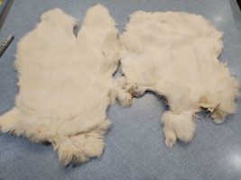 JR40 Lot of 2 White Rabbit Pelt Hide Skin Fur - $19.77