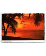 Vintage Sunset Palm Tree Orange Skies Vivid Color FL Postcard - €6,01 EUR