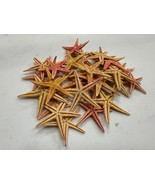 Dried MINI Pinkish Starfish Colored - Wedding Decoration - Crafting - Wr... - $223.20 MXN