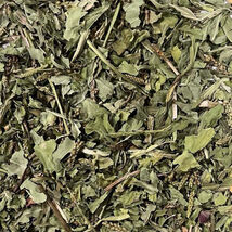 Plantain Dried Organic Herb/1oz./Free Shipping/Available April 20, 2026 - $1,295.00